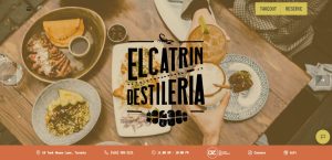 A website for a restaurant called electrin destileria.